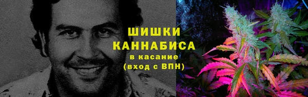 тгк Заводоуковск